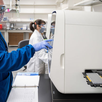 A lab technician loads a PCR plate into a machine for analysis.