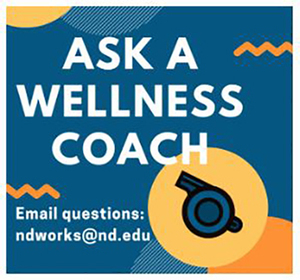 Wellness Logo Web
