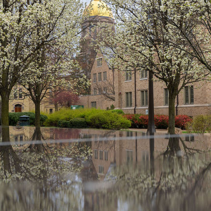 Golden Dome in spring (Photo by Matt Cashore/University of Notre Dame)
