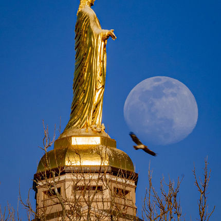A hawk flies past the Mary statue on the Golden Dome as the moon rises in the background. (Photo by Matt Cashore/University of Notre Dame)