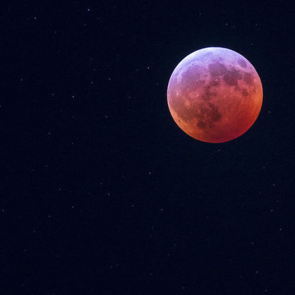 January 21, 2018: Super blood wolf moon of 2019. (Photo by Barbara Johnston)
