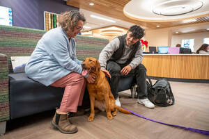 Orla the therapy dog with two people