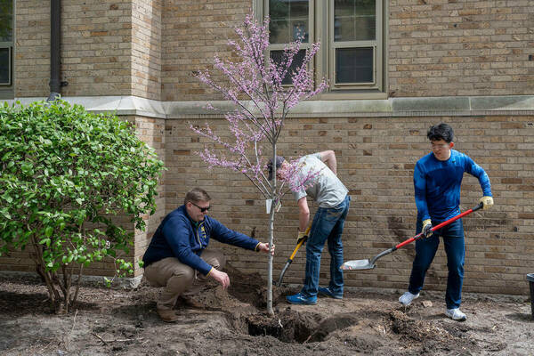 Beau Barnett assists two students in planting a tree.