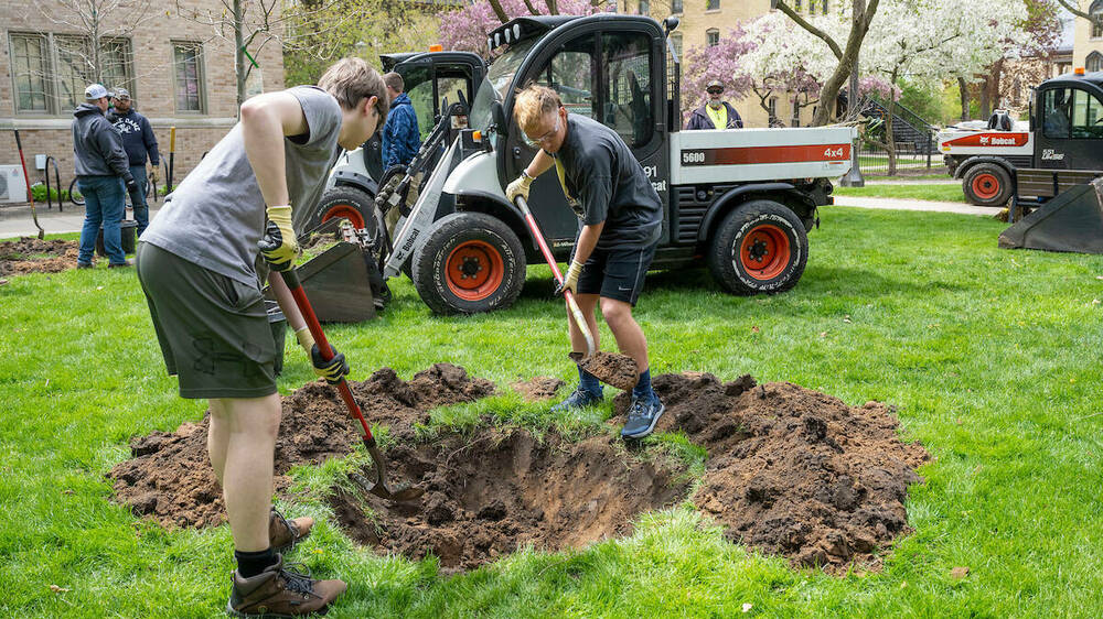 Students dig a hole for a tree