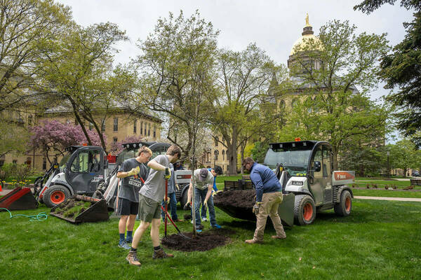 Landscaping staff and students plant new trees on campus.