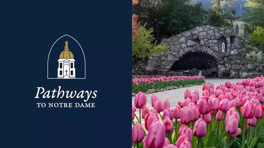 Pathways to ND Logo